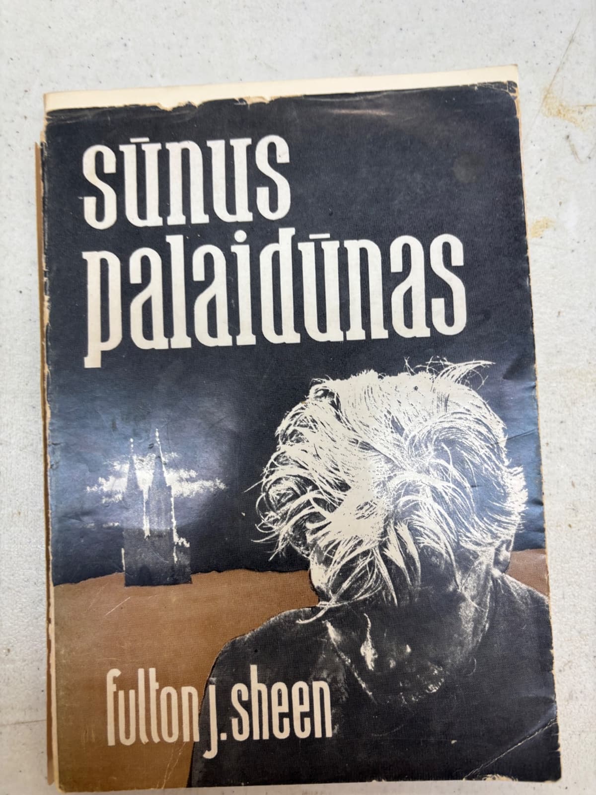 Sūnus Palaidūnas: Studija apie Vakarų Civilizacijos Krizę