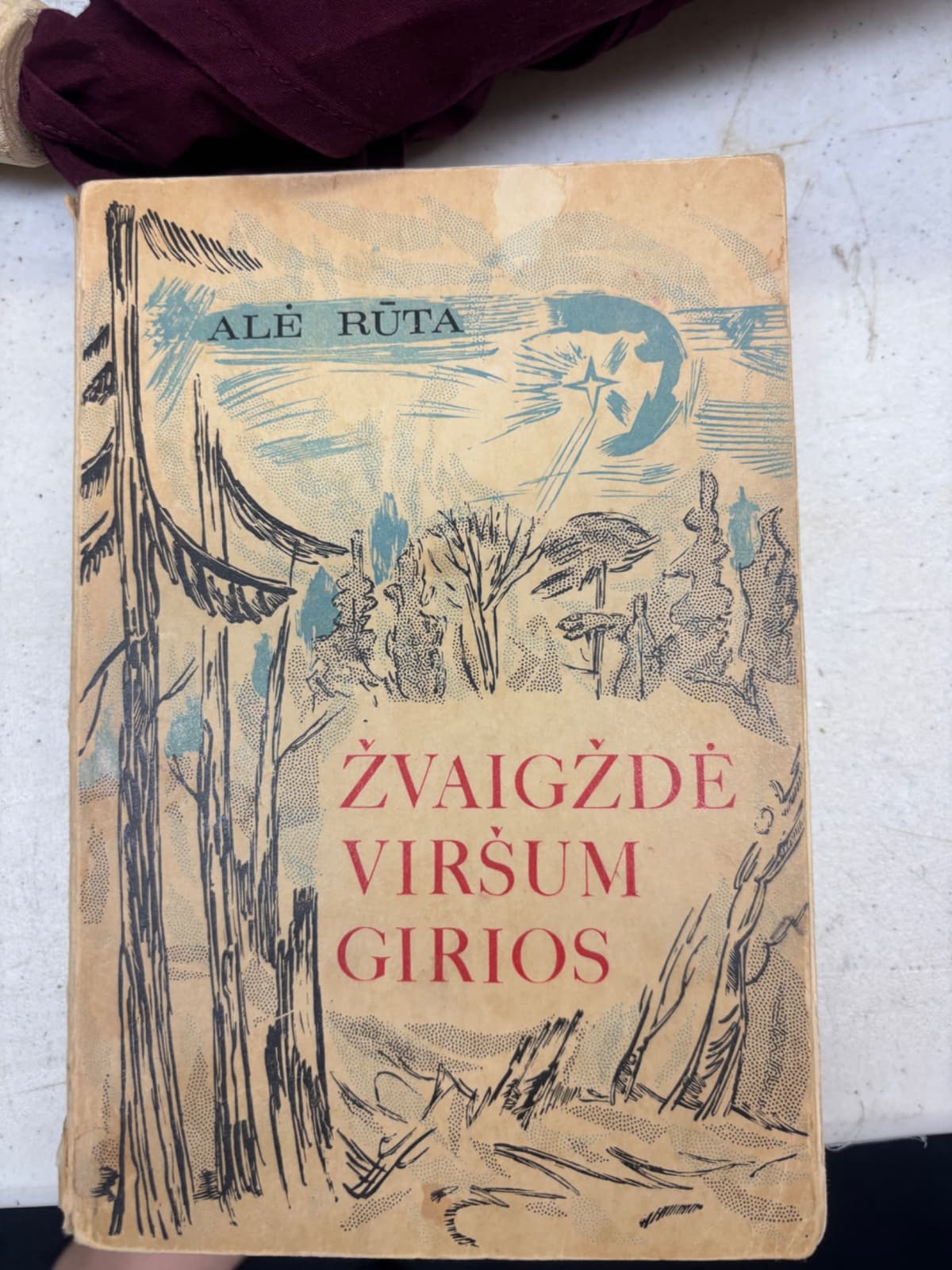 Žvaigždė Viršum Girios