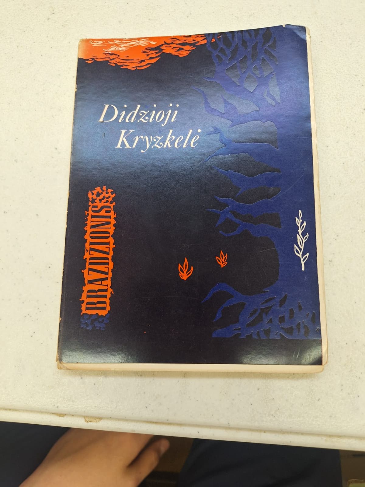 Didžioji Kryžkelė