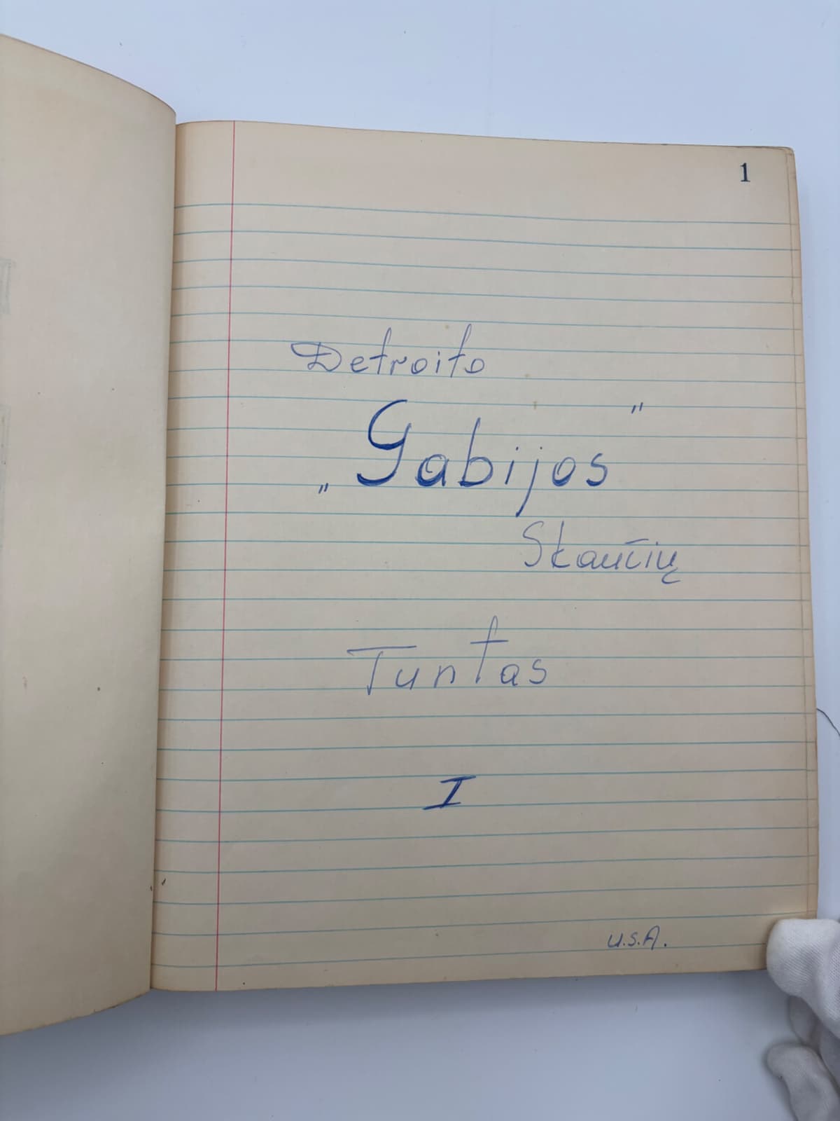 Detroito 'Gabijos' Skaučių Tuntas I — Įsakymų Knyga