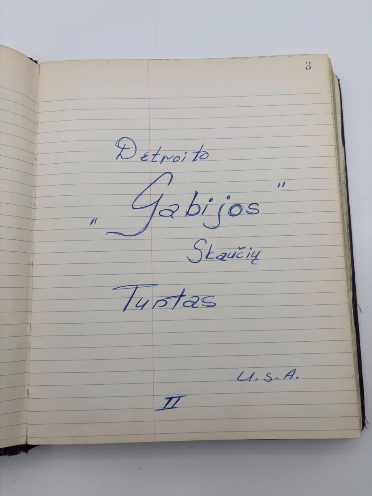 Detroito 'Gabijos' Skaučių Tuntas — Įsakymų Knyga II